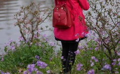 苍井空恋之欲室快播